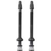 RichVibe Steli della valvola tubeless in lega di alluminio da 80 mm per valvola Presta, confezione da 2 per valvole per pneumatici con guarnizione O-ring e dado di bloccaggio per ciclismo su strada