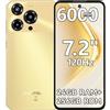 OUKITEL C69 4G [2025] Smartphone Sbloccato, Android 15, 24GB RAM +256GB ROM/1TB, 6000mAh, Display HD+ da 7.2" 120Hz