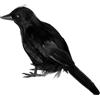 JOYIN Halloween Corvo Corvo 17,8 cm Piuma Uccello Puntello Nero Uccelli Finti Corvi Decorazioni di Halloween per Casa infestata Cimitero Cimitero Tavolo Bomboniere