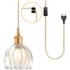 iDEGU Lampada a Sospensione Vintage in Vetro, 12 cm Retro Lampadario Mini Plafoniera E27 con Spina e Interruttore Moderna Illuminazione da Soffitto per Corridoio Cameretta Bagno (Trasparente)
