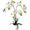 Comgooldool Orchidea Phalaenopsis artificiale a 24 teste in vaso, fiori finti da 45 cm con fiori realistici in tessuto, pianta finta bassa per casa, ufficio, hotel, decorazione per matrimoni, bianco