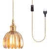 iDEGU Lampada a Sospensione Vintage in Vetro, 12 cm Retro Lampadario Mini Plafoniera E27 con Spina e Interruttore Moderna Illuminazione da Soffitto Deco Lampada per Corridoio Cameretta Bagno (Ambra)