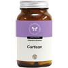 CENTO FIORI Srl CARTISAN 100CPS VEG
