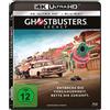 Sony Pictures Entertainment (PLAION PICT Ghostbusters: Legacy (4K Ultra-HD) (+ Blu-ray 2D) (4K UHD Blu-ray) Coon Carrie