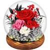 Comius Sharp Regalo Rosa Stabilizzata Vera in Vetro, Idee Regalo Donna e Mamma per Compleanno, Natale e Festa della Mamma, San Valentino