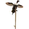 Mojo Outdoors Hw2469-2, Elite Series Pintail-Esca da Caccia all'anatra Unisex, Codone