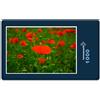 hansepuzzle 16390 - Puzzle "Campo di papaveri", 1000 pezzi, tema natura, 60,0 x 46,0 cm, con custodia di alta qualità, scatola di cartone e sacchetto richiudibile