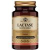 SOLGAR ITALIA LACTASE MASTICABILE 30 TAVOLETTE