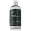 Paul Mitchell Tea Tree Lavender Mint Moisturizing Conditioner 300 ml