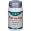 ERBA VITA GROUP SpA Erba Vita, Boswellia, 60 Capsule