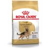 Royal Canin Pastore Tedesco Adult Alimento Completo per Cani di Razza Adulti e Maturi Oltre 15 mesi di Età 11KG