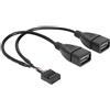DeLOCK 83292 cavo di interfaccia e adattatore 2xUSB 2.0-A 10pin Nero