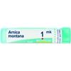 Boiron Arnica Montana 1mk Rimedio Omeopatico Multidose