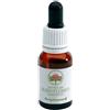 Bush Biotherapies Pty Ltd Angelsword Fiori Australiani Gocce Orali 15ml