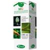 Sangalli Srl Sangalli Ginepro Macerato Glicerico Integratore Per Il Fegato E Il Drenaggio Dei Liquidi 100ml