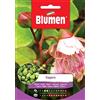 Blumen SEMENTI DI CAPPERO orto giardino semi seeds blumen