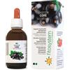 FITOSYSTEM DI C.G. SYSTEM CORE Gtt 50ml