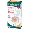 ERBA VITA GROUP SPA CARBON EV FERMENT 30 CAPSULE