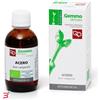 FITOMEDICAL SRL ACERO MACERATO GLICERICO 50 ML BIO