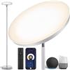 OUTON Smart LED Lampada da terra, 30W / 3000LM, Grigio Argento