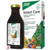 SALUS HAUS GMBH & CO KG INTEST CARE 250 ML
