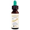 Alchimia Benoit Fiori Di Bach Benoit Agrimony 10 Ml