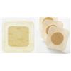 COLOPLAST SpA Biatain Adesivo 3420 12,5x12,5cm Coloplast 10 Pezzi