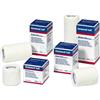 ESSITY ITALY SpA Benda Elastomull Haft 12x4