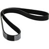 DAYCO 6PK1053 CINGHIA POLY - V MINI COOPER (BMW)
