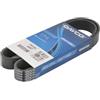 DAYCO Cinghia trapezoidale 7PK1020 Compatibile con: ISUZU D-MAX II, D-MAX II piattaforma/telaio