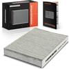 Frankberg Filtro antipolline per abitacolo con carbone attivo B729800QAA | Compatibile con: M.e.g.a.n.e I Classic LA0/1, Scatola Kubistar X76, Logan MCV KS, K.a.n.g.o.o KC0/1, Logan I LS