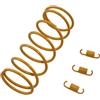 TRKIMAL Molla da corsa ad alte prestazioni per GY6 125cc 150cc 157QMJ 152QMI motore ciclomotore ATV Scooter molla di coppia con molle della frizione (1500RPM)