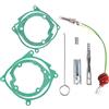 BTFO 9 Pezzi Kit di Riparazione Candeletta Riscaldatore Diesel, Candelette e Attrezzi per Riscaldatori da Parcheggio 12V/24V/110V 2KW/5KW/8KW per Auto Camion e Barche