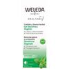 WELEDA ITALIA Srl DENTIFRICIO VEGETALE 75ML WE