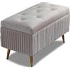 BAKAJI Pouf Cassapanca Panca Contenitore Poggiapiedi Camera Letto Rivestimento Velluto Rettangolare Morbido Capiente Divanetto Portaoggetti Apribile Imbottitura Struttura Legno Capiente(Grigio)LFNS003
