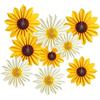ROEOWENE 9x Ventagli di Carta per Feste, Fiori da Appendere per Decorazioni