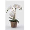 EDG Enzo De Gasperi Orchidea Phalaenopsis Pianta x3 Artificiale con Cesto H 48 Cm White
