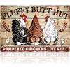 WADORN Targa in metallo vintage con pollo, 30,5 x 20,3 cm, con scritta in lingua inglese Hut Pampered Chickens Live Here, divertente targa decorativa da parete per uomo della fattoria, per bar, pub