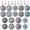 PH PandaHall PandaHall 18 Set Bottoni a Vite Posteriore Bottone Turchese Pelle Rivetto Fibbia Borchie Decorative Rivetti per Borsa Borsetta Scarpe Artigianato Pelle Vestiti Cintura