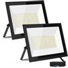 Aigostar Faretto LED da Esterno 100W 9000LM, Impermeabile IP65 6500K,2PCS