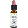 ERBA VITA GROUP SpA WHITE CHESTNUT ORIGINAL 10ML
