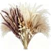 Fairblo 160 Pezzi Erba di Pampas Decorative Fiori Secchi Naturali 45 cm