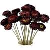 MUYAPAY 20 Pezzi Fiori Secchi Decorativi Margherita, Fiori Secchi Decorativi | Vaso Naturali Boho Realizzati, Resina, per Fai da Te Artigianato Album Ritaglio Home Decor(Rosso)