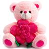 BEJOY orsacchiotto di peluche, orsacchiotto tiene morbido orsacchiotto rosa regalo per San Valentino, 40cm rosa