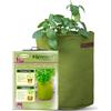 Haxnicks VIG080101 Vigo vasi, verde, 18 x 18 x 20 cm, Green, 35 x 45 cm