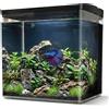 AQPet Neya acquario in plastica da scrivania 20x15x20