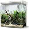 AQPet Neya acquario in plastica da scrivania 20x15x20