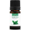 La Compagnie des Sens MENTA VERDE (Mentha spicata) BIO - 5mL - Olio Essenziale di Qualità Premium - 100% Puro, Naturale, Garantito ChromaCert® - Chemiotipizzato & Integrale