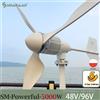 NONE SMARAAD Mulino a vento con generatore eolico orizzontale più potente da 5000 W con controller di carica MPPT gratuito e inverter off grid