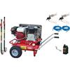 Lisam Kit olive 2 operatori Lisam Professional LM200 compressore Honda 2 abbacchiatori